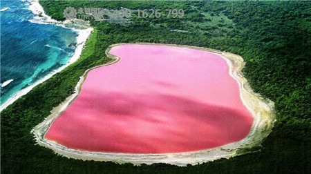 粉紅色的湖你見(jiàn)過(guò)嗎 來(lái)澳洲吧！