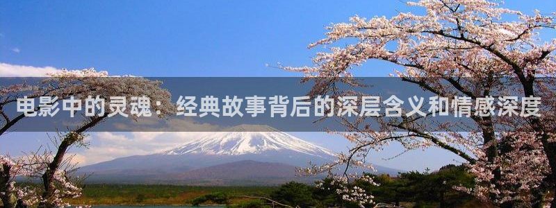 紅葉影院app：電影中的靈魂：經(jīng)典故事背后的深層含義和情感深度