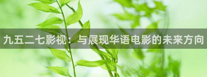 紅葉電影院今日影訊：九五二七影視：與展現華語電影的未來方向