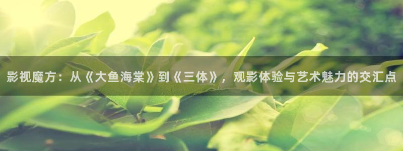 紅葉影院免費觀看電視?。河耙暷Х剑簭摹洞篝~海棠》到《三體》，觀影體驗與藝術魅力的交匯點